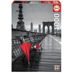 17691 Red Umbrella Brooklyn...