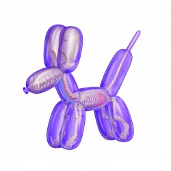 Jason Freeny 4D Balloon Dog Anatomy Purple Model