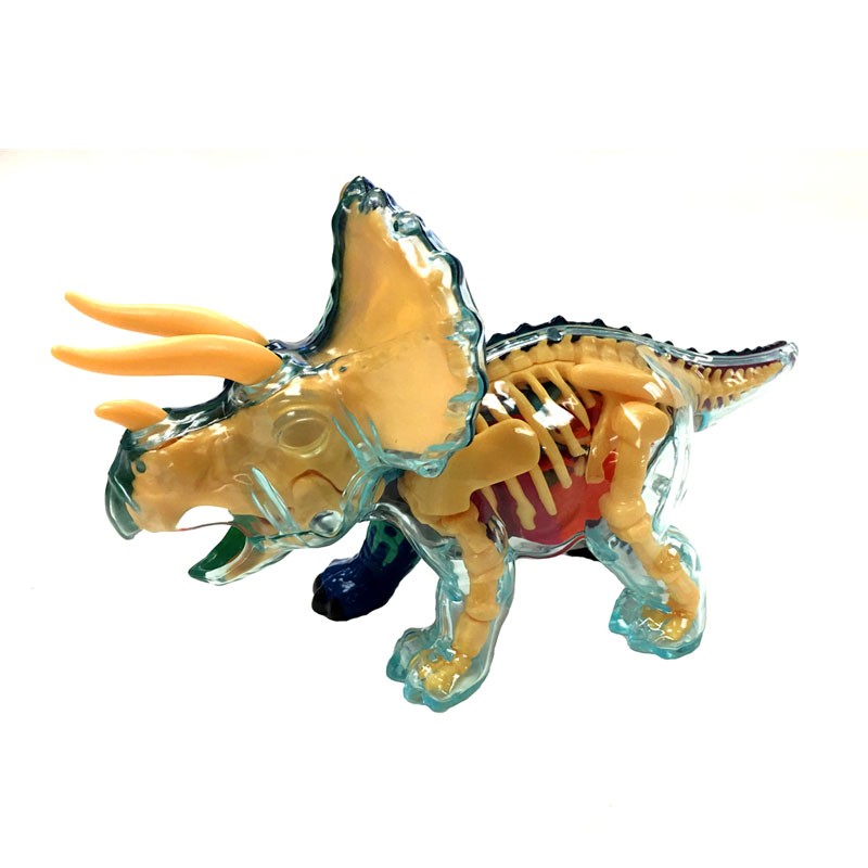 77011 XRay Fun Triceratops